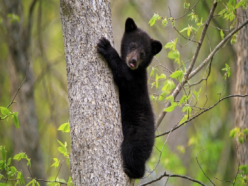 <strong>香港可以试管性别（试管冷却至室温）</strong>