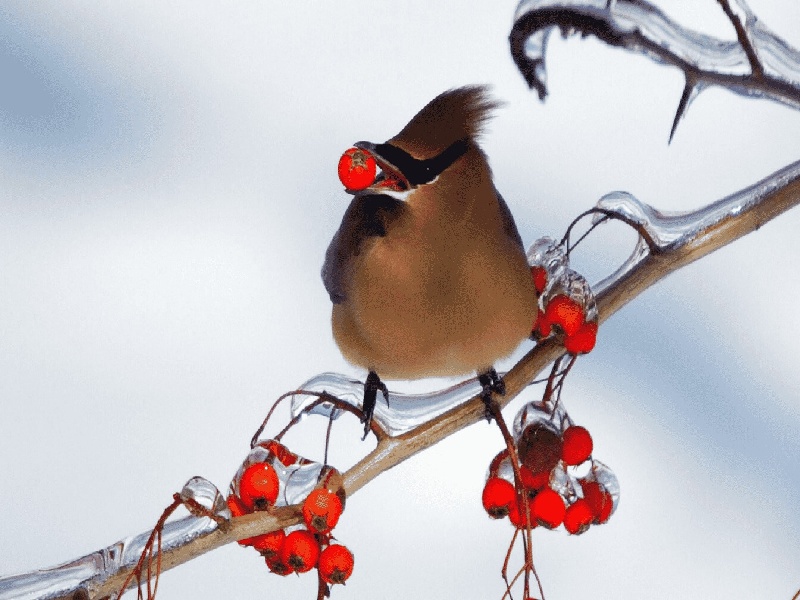 兰州三代供卵例子,山东临沂做试管婴儿成功率最高的医院是哪里？如何选-兰州